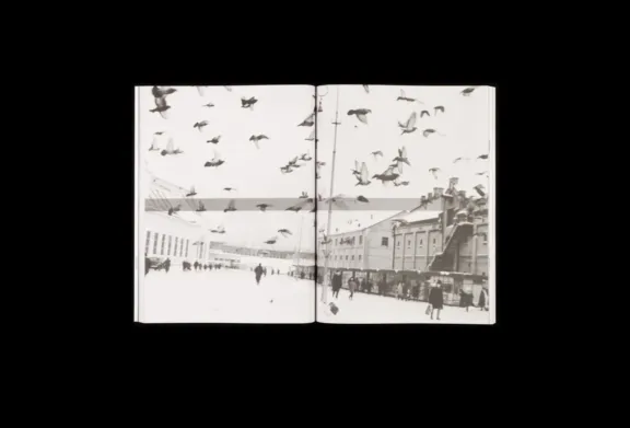 PROVENCE AW18 / REPORT