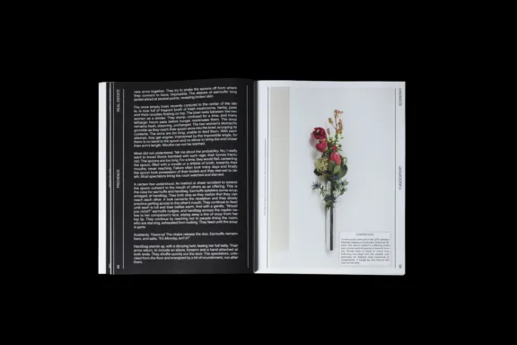 PROVENCE SS22 / UPPER INCOME